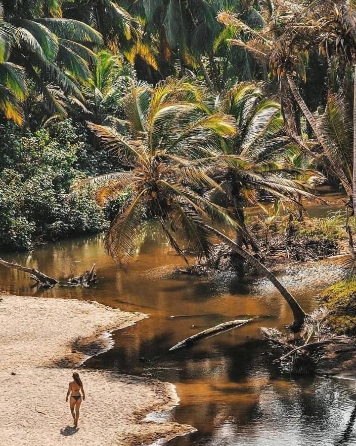 Hotel Jasayma Dentro Del Parque Tayrona El Zaino Ngoại thất bức ảnh
