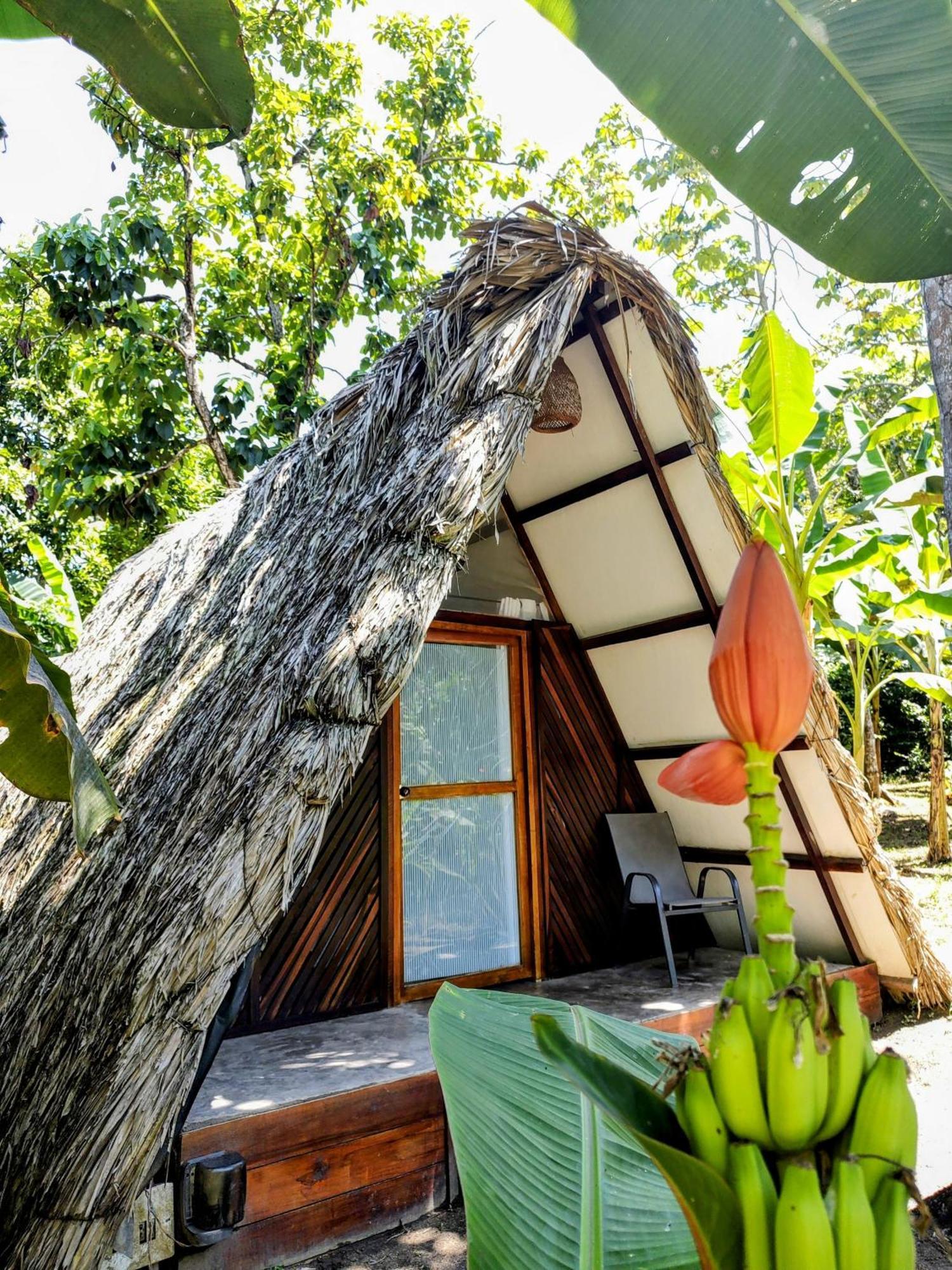 Hotel Jasayma Dentro Del Parque Tayrona El Zaino Ngoại thất bức ảnh